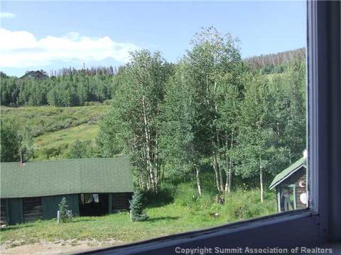 1555 Ruby Rd, Silverthorne, CO 80498 photo 16