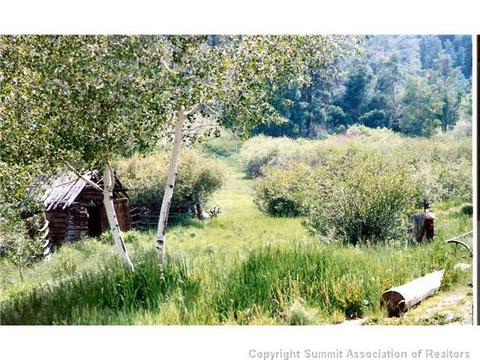 1555 Ruby Rd, Silverthorne, CO 80498 photo 17