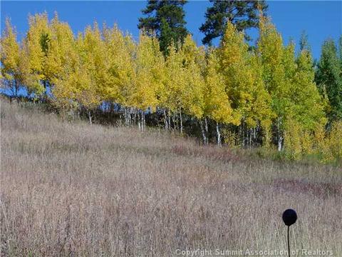 1555 Ruby Rd, Silverthorne, CO 80498 photo 20