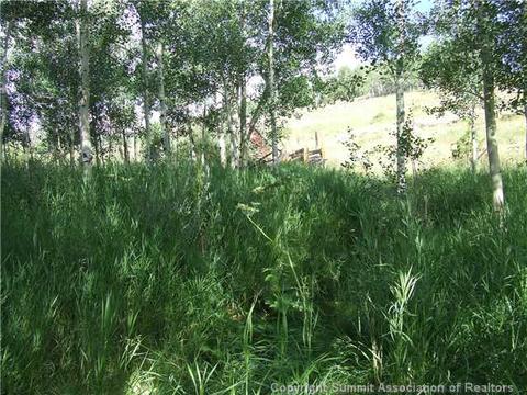 1555 Ruby Rd, Silverthorne, CO 80498 photo 9