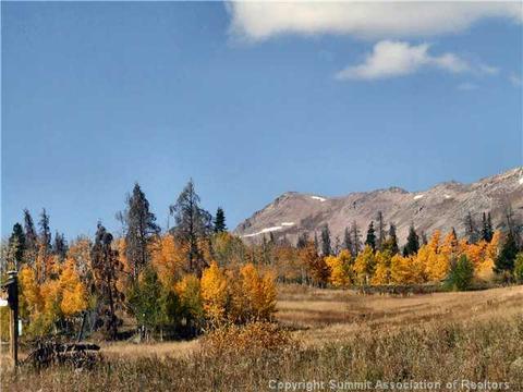 1555 Ruby Rd, Silverthorne, CO 80498 photo 21