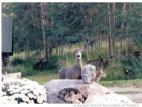 1555 Ruby Rd, Silverthorne, CO 80498 photo 24