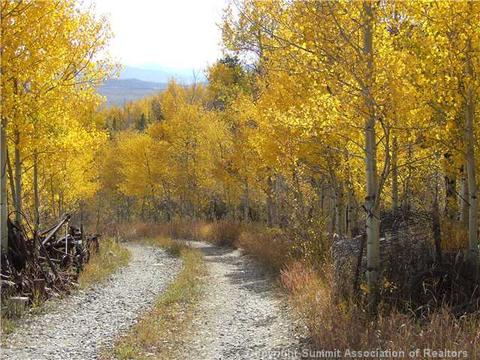 1555 Ruby Rd, Silverthorne, CO 80498 photo 22