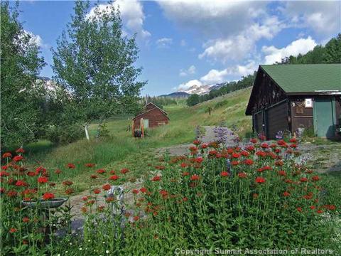 1555 Ruby Rd, Silverthorne, CO 80498 photo 12