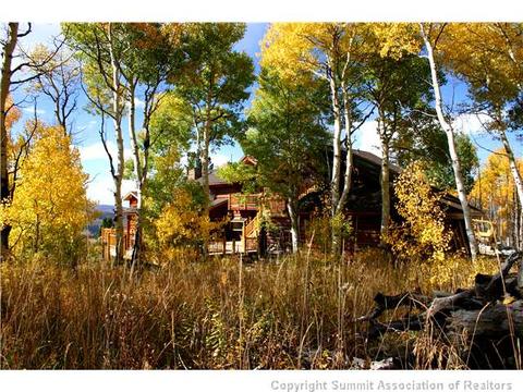 863 Rodeo Dr, Silverthorne, CO 80498 photo 2