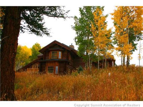863 Rodeo Dr, Silverthorne, CO 80498 photo 8