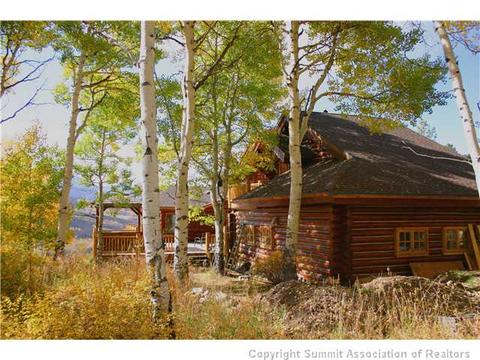 863 Rodeo Dr, Silverthorne, CO 80498 photo 4