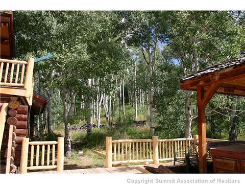 863 Rodeo Dr, Silverthorne, CO 80498 photo 14