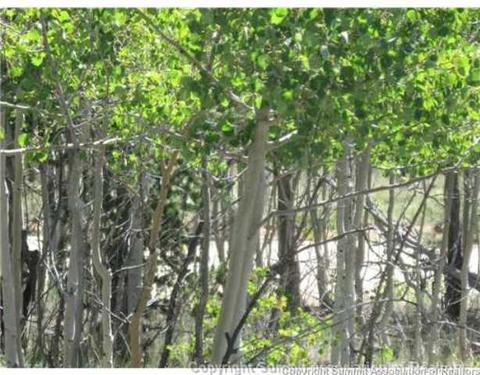 825 Osprey Rd, Como, CO 80432 photo 7