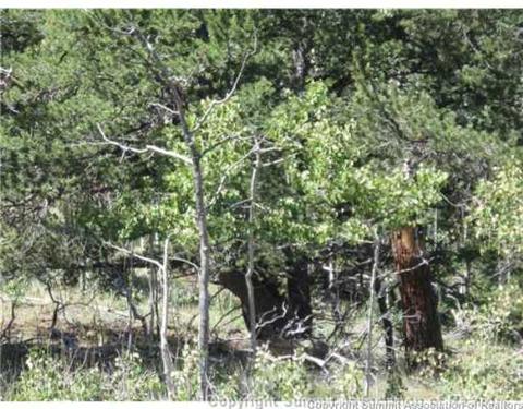 825 Osprey Rd, Como, CO 80432 photo 5
