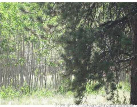 825 Osprey Rd, Como, CO 80432 photo 6