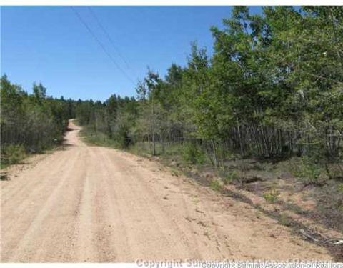 825 Osprey Rd, Como, CO 80432 photo 9