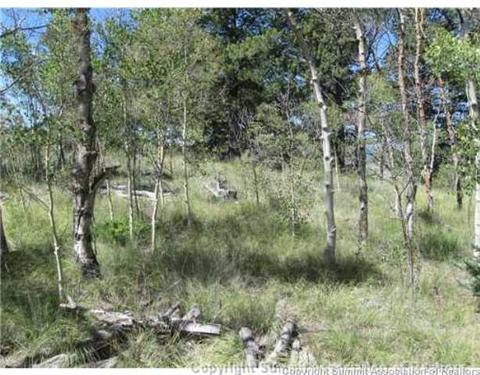825 Osprey Rd, Como, CO 80432 photo 2