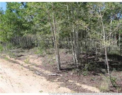 825 Osprey Rd, Como, CO 80432 photo 8