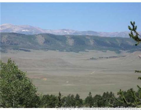 825 Osprey Rd, Como, CO 80432 photo 4