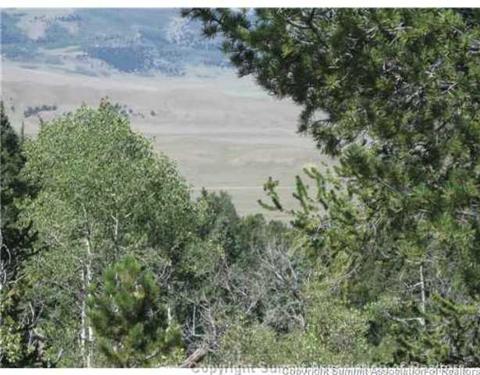 825 Osprey Rd, Como, CO 80432 photo 1
