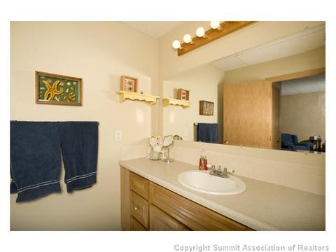 232 Alpine Rd, Dillon, CO 80435 photo 11
