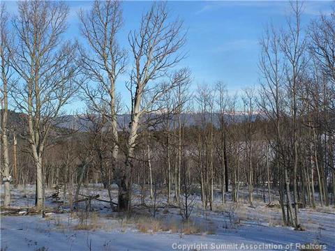 28 Duck Way, Como, CO 80432 photo 8