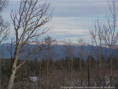 28 Duck Way, Como, CO 80432 photo 9