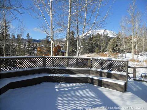 23 Solomons Ln, Silverthorne, CO 80498 photo 15