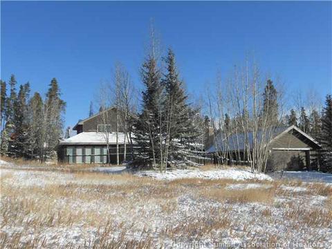 23 Solomons Ln, Silverthorne, CO 80498 photo 1