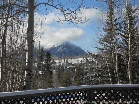 23 Solomons Ln, Silverthorne, CO 80498 photo 12