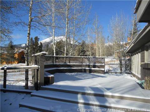 23 Solomons Ln, Silverthorne, CO 80498 photo 3