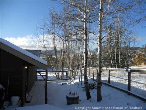 23 Solomons Ln, Silverthorne, CO 80498 photo 13