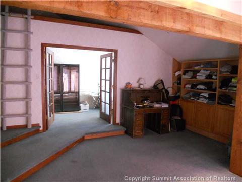 23 Solomons Ln, Silverthorne, CO 80498 photo 10