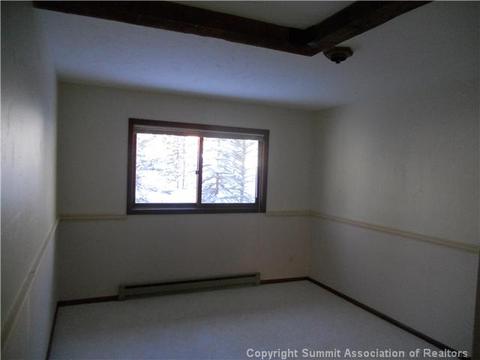 23 Solomons Ln, Silverthorne, CO 80498 photo 9