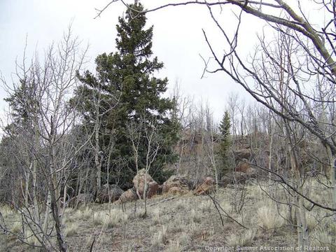 21 Pintail Way, Como, CO 80432 photo 2