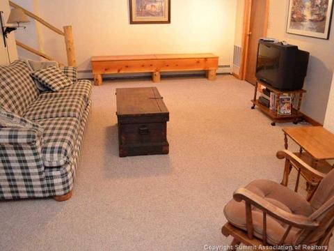 300 Buffalo St, Dillon, CO 80435 photo 17