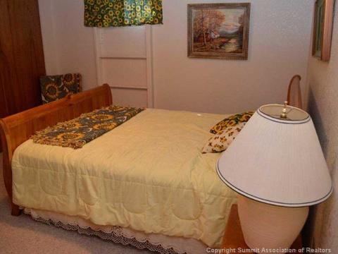 300 Buffalo St, Dillon, CO 80435 photo 20
