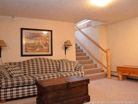 300 Buffalo St, Dillon, CO 80435 photo 16