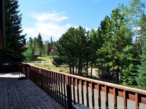 300 Buffalo St, Dillon, CO 80435 photo 22