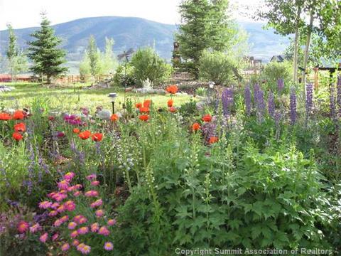 16 Habitat Ct, Dillon, CO 80435 photo 25