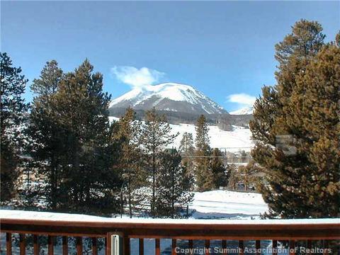 366 Lagoon Ln, Silverthorne, CO 80498 photo 6