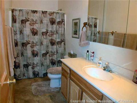 366 Lagoon Ln, Silverthorne, CO 80498 photo 15