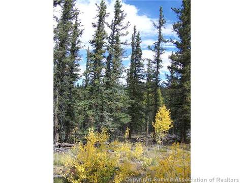 391 Haida Ln, Como, CO 80432 photo 2
