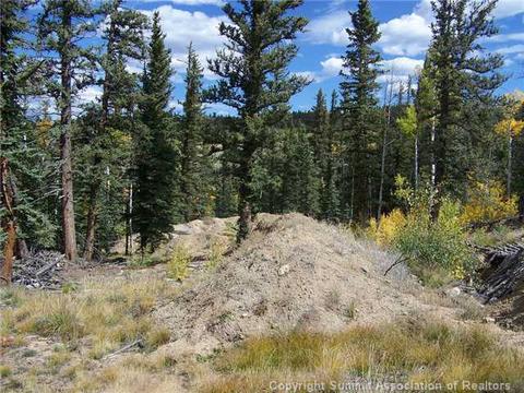 391 Haida Ln, Como, CO 80432 photo 5