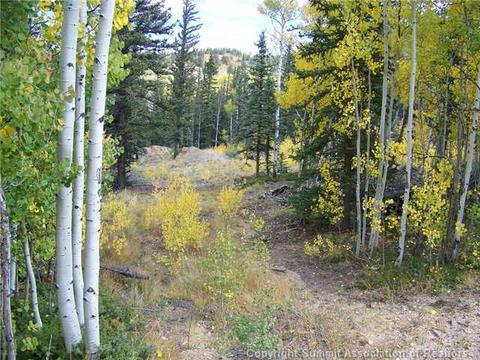 391 Haida Ln, Como, CO 80432 photo 1