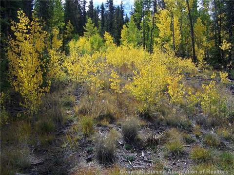 391 Haida Ln, Como, CO 80432 photo 7