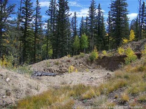 391 Haida Ln, Como, CO 80432 photo 6