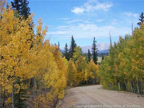 391 Haida Ln, Como, CO 80432 photo 8