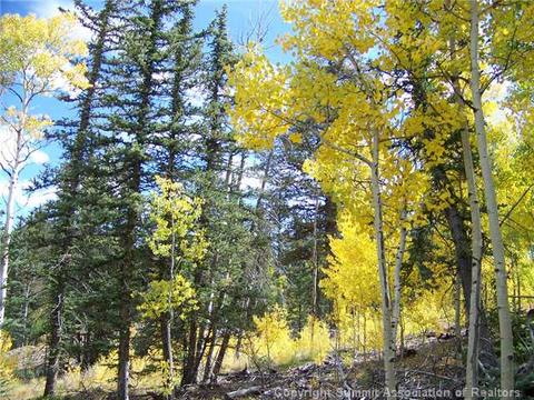 391 Haida Ln, Como, CO 80432 photo 3