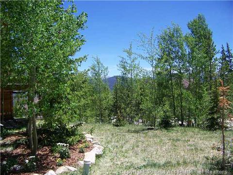 59 Sky Pilot Ln, Silverthorne, CO 80498 photo 8