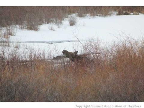 1427 Rainbow Dr, Silverthorne, CO 80498 photo 18
