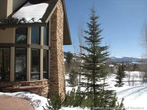 1808 Falcon Dr, Silverthorne, CO 80498 photo 2