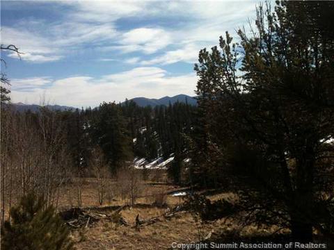 1343 Swiggler Rd, Como, CO 80432 photo 4
