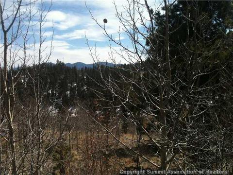 1343 Swiggler Rd, Como, CO 80432 photo 6